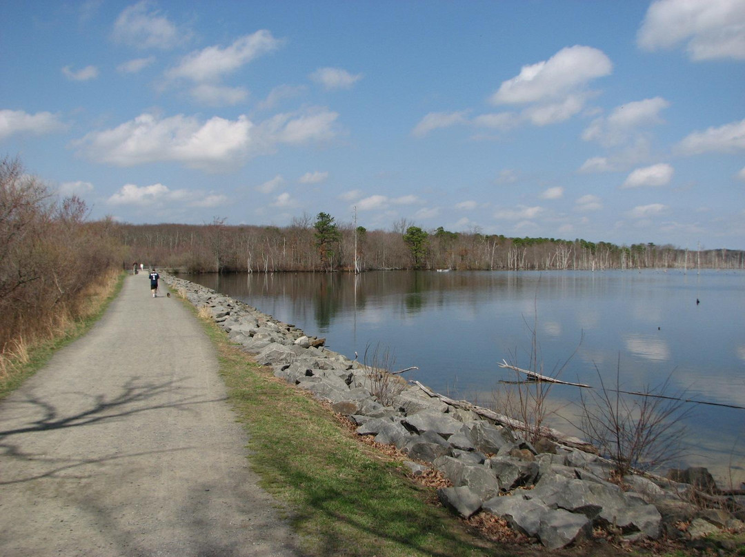 Manasquan Reservoir Visitor Center景点图片