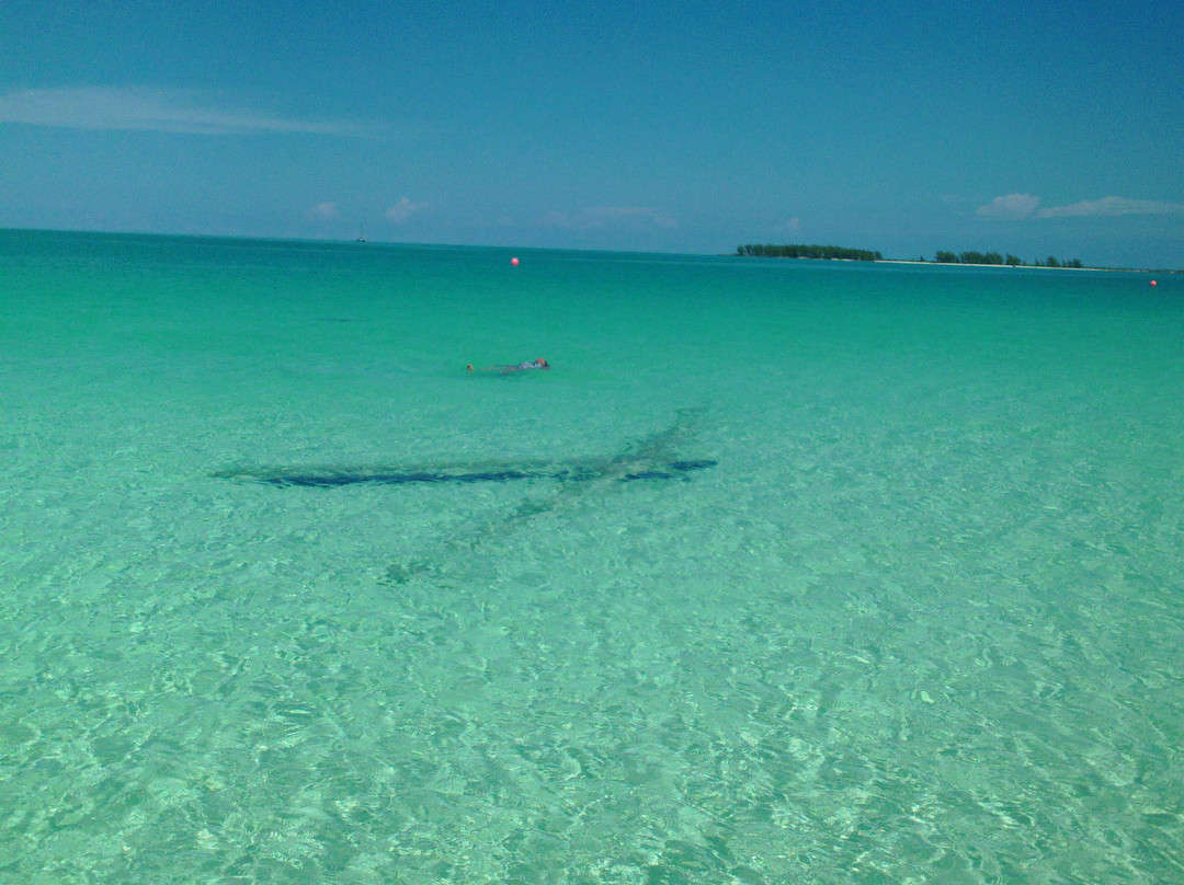 Playa Pilar景点图片
