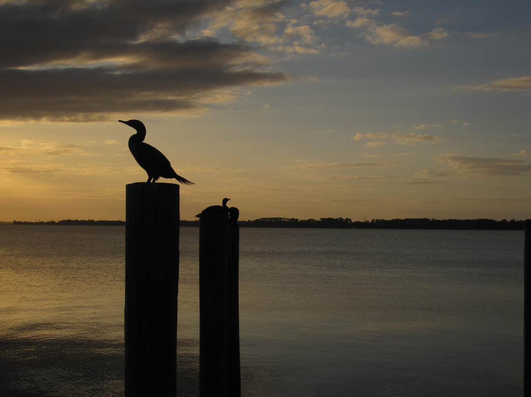 Lake Dora-Mount Dora必去景点