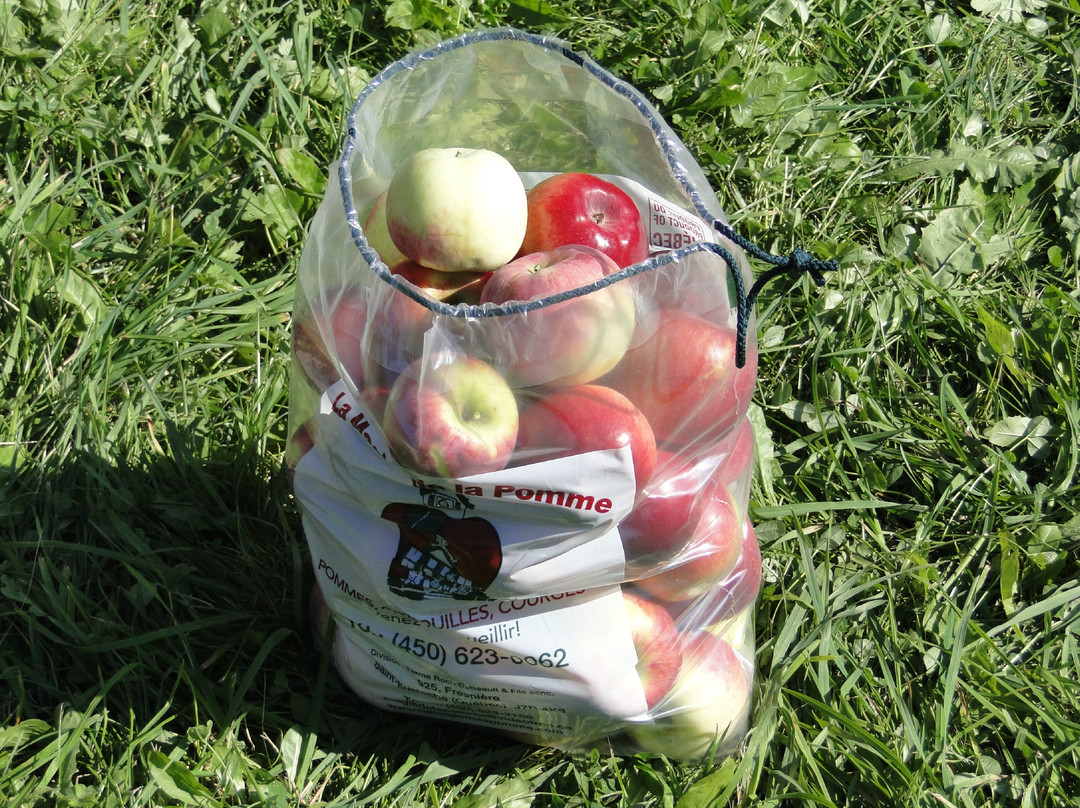 Verger La Magie De La Pomme-Saint-Eustache必去景点