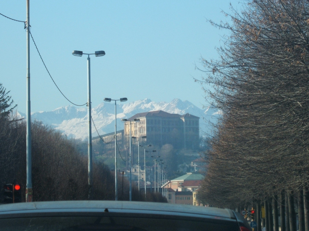 Castello di Rivoli Museum of Contemporary Art景点图片