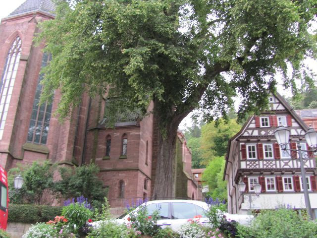 Evangelic St. Peter und Paul church景点图片