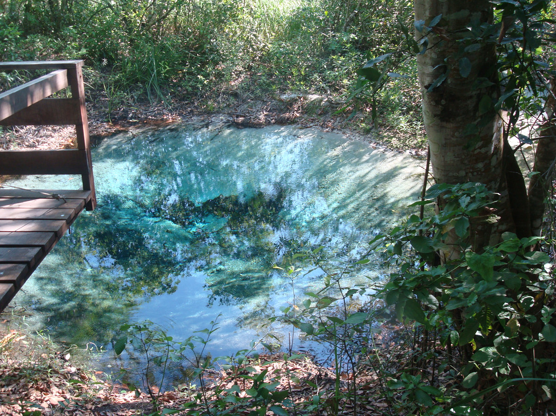 Rio Sucuri-博尼图必去景点