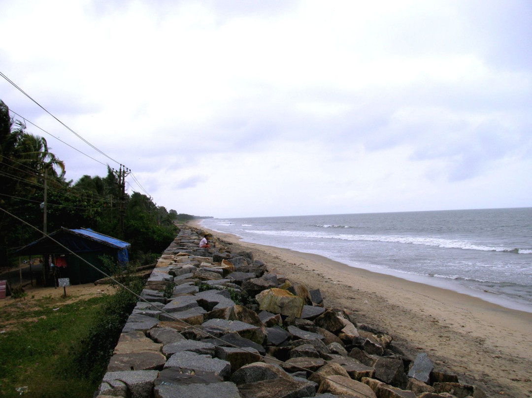 Cherai Beach景点图片