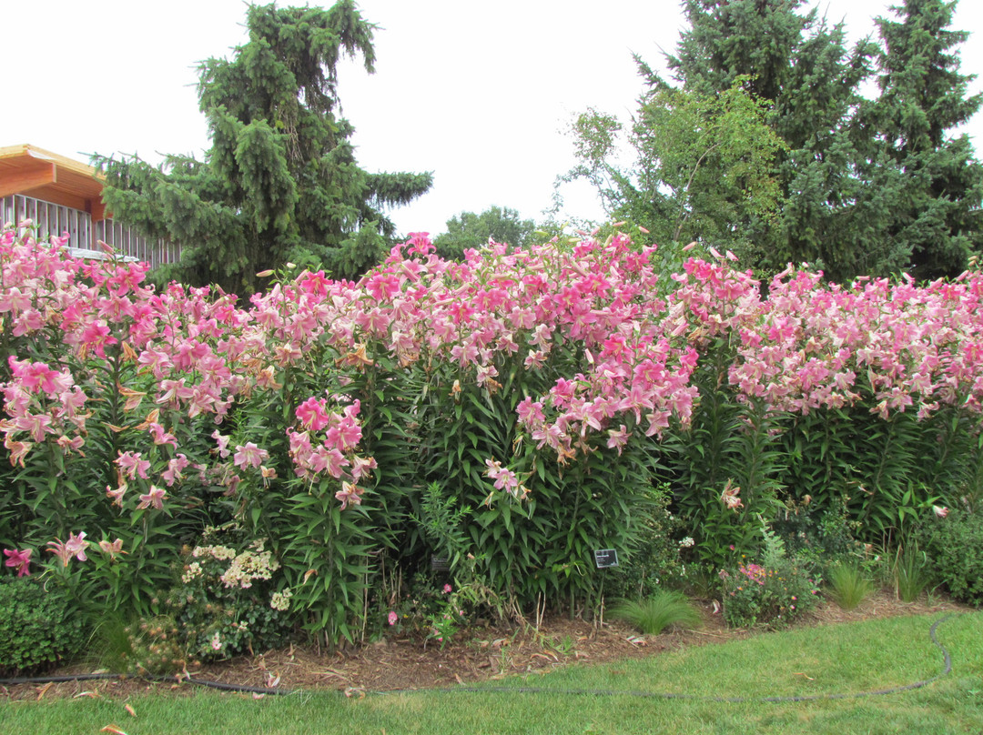 Green Bay Botanical Garden景点图片