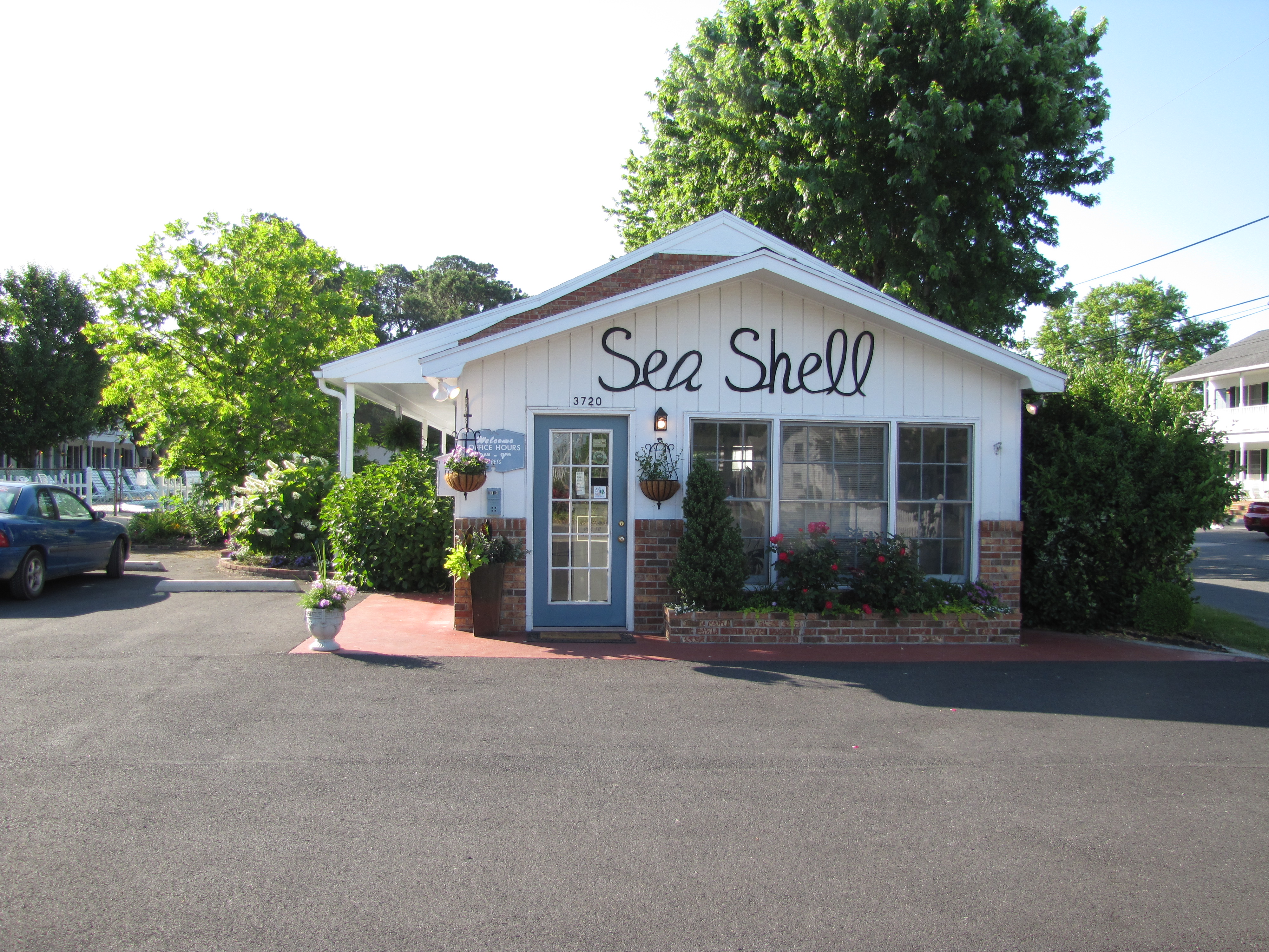 Sea Shell Motel-酒店景观