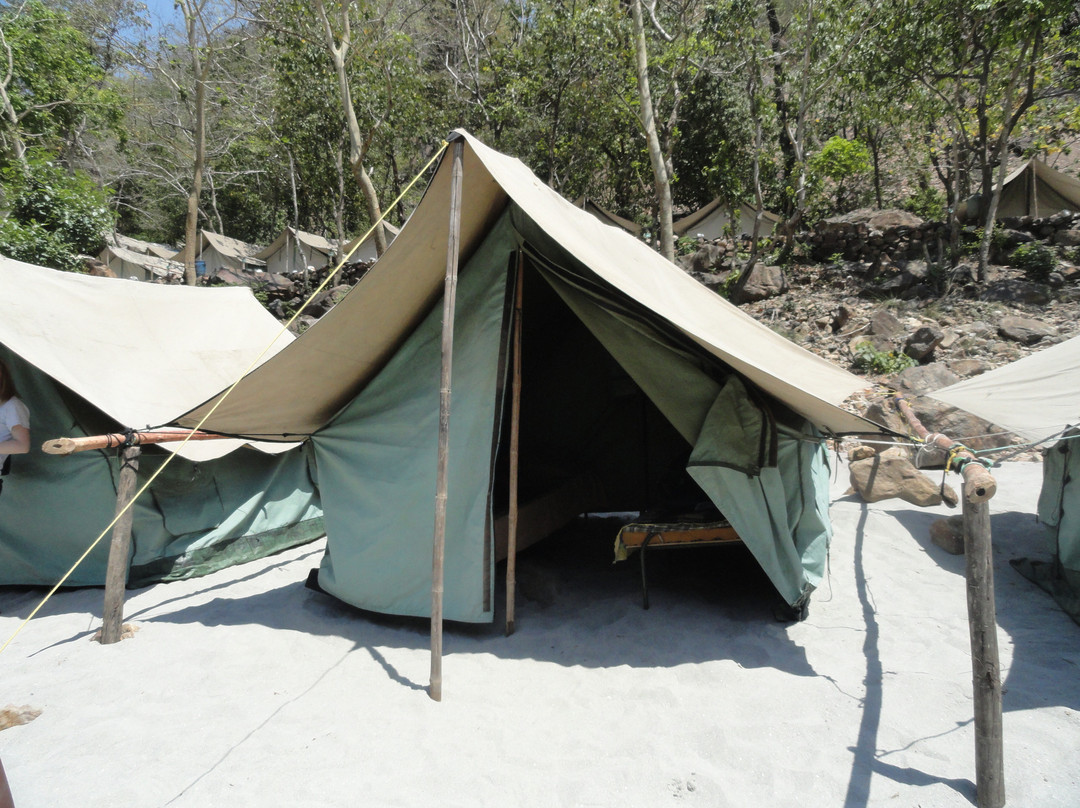 Ganga Nature Camp