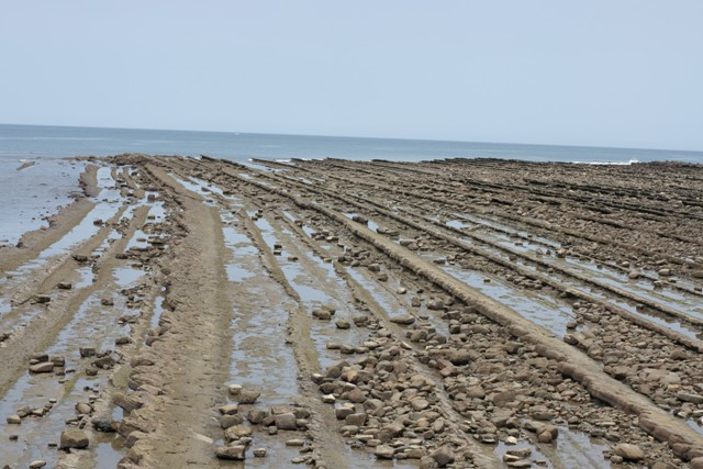 Onino Sentakuita-宫崎市必去景点