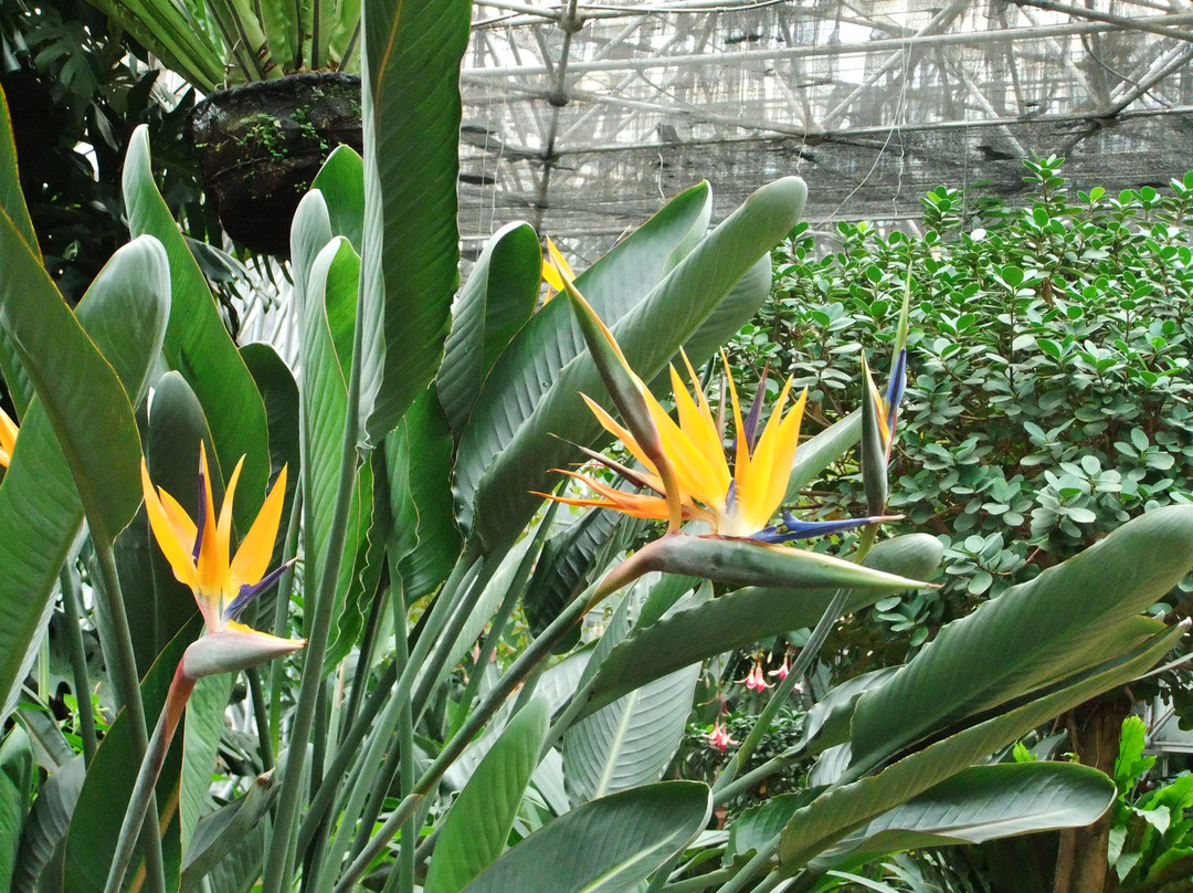 金殿公园-昆明市必去景点