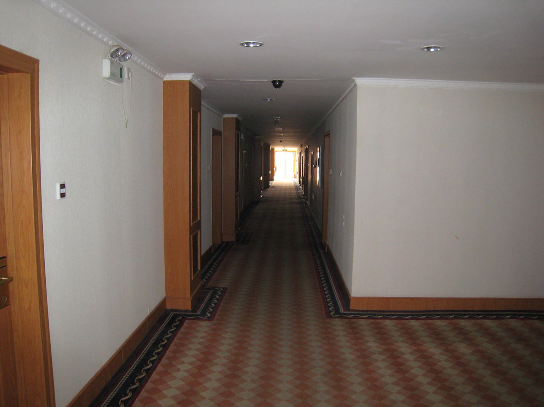 海得隆大酒店主图