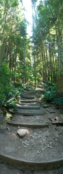 The Grouse Grind-北温哥华必去景点