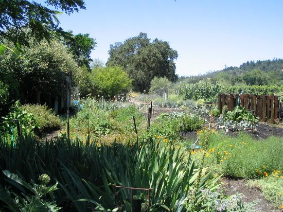 Preston Farms & Winery-希尔兹堡必去景点