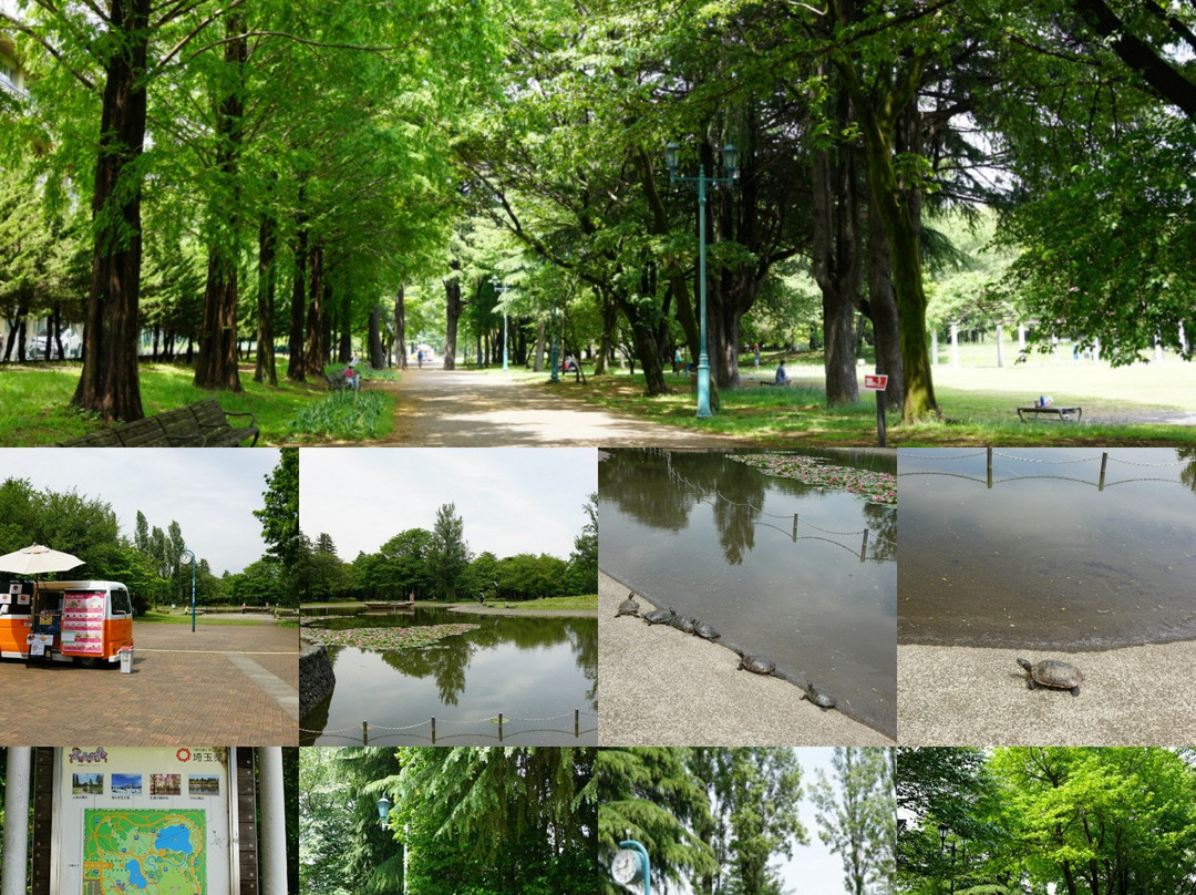 Sai-no-mori Iruma Park-入间市必去景点