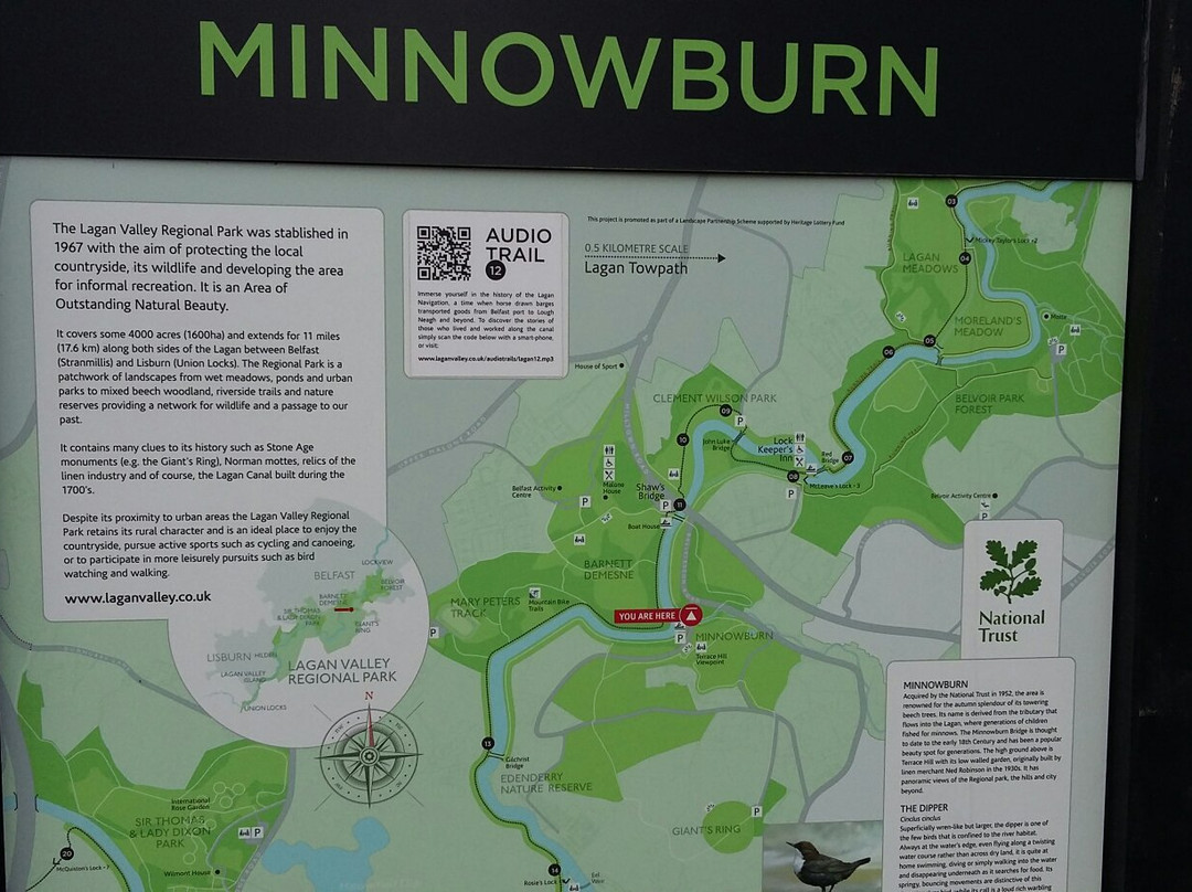 Minnowburn景点图片