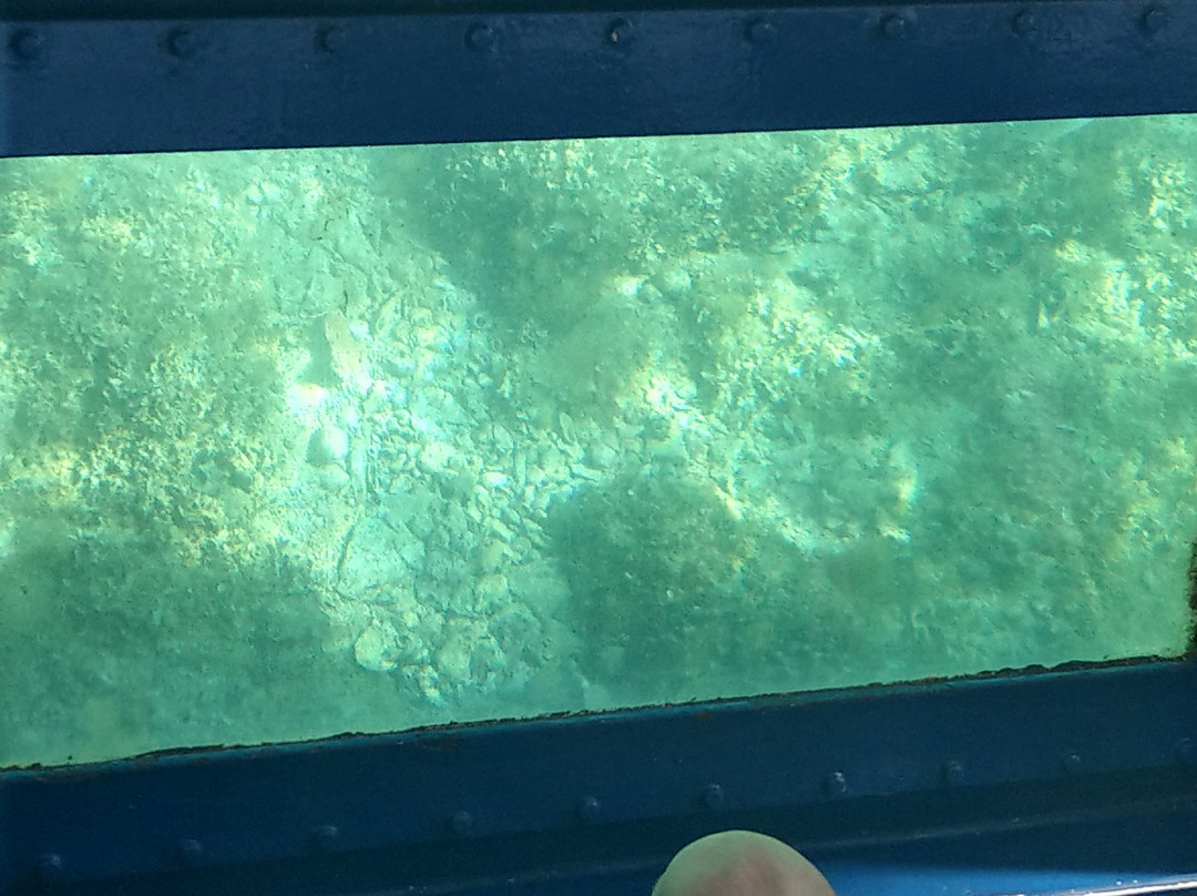Aquavision Glassboat Katamaran景点图片