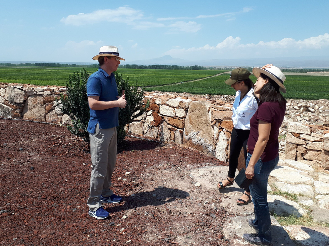 Tierras de Armenia Wine Factory
