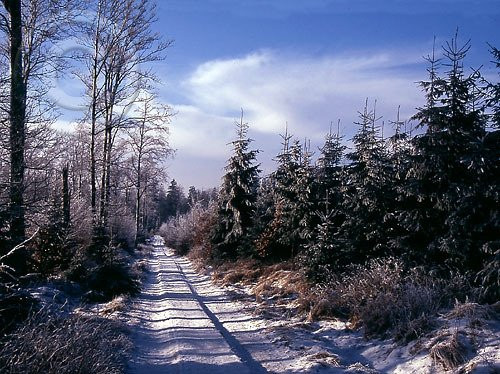 Landhotel Ferienhof  Gut Ahe