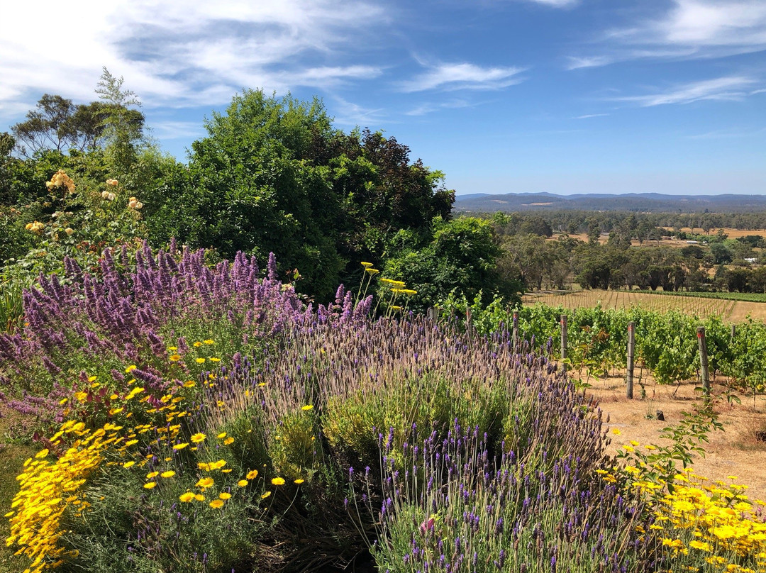 Grey Sands Vineyard-Glengarry必去景点