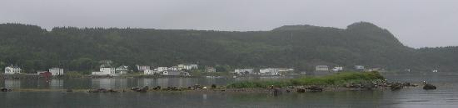 Fox Harbour旅游攻略图片