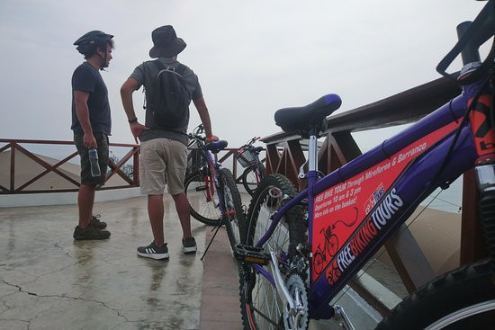 Free Biking Tours景点图片