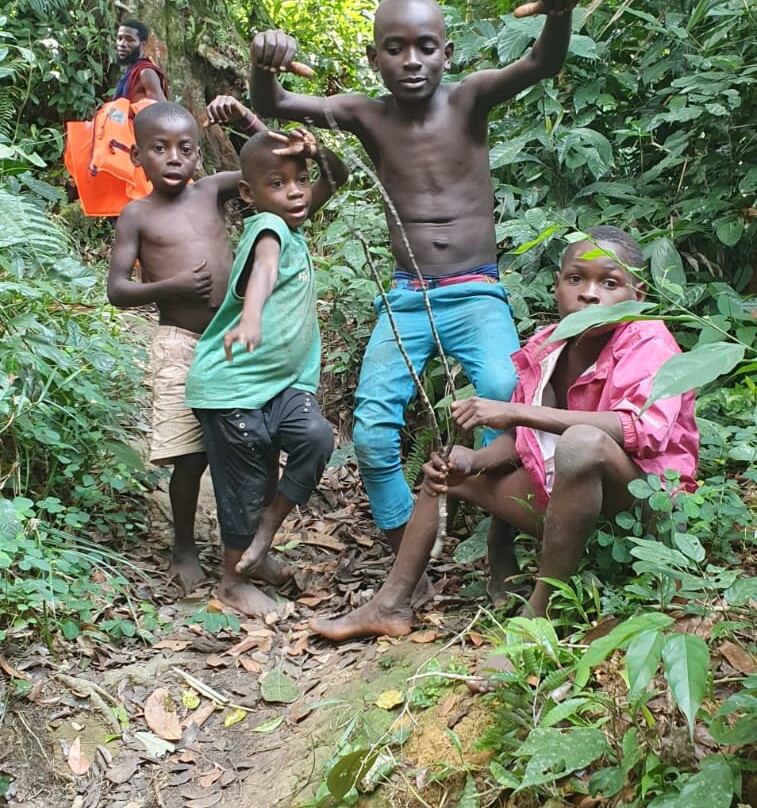 Village Pygmées De Dibongo À Kribi