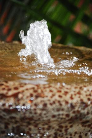 克里夫兰热带花园-克利夫兰必去景点