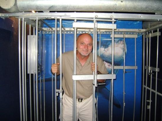 田纳西水族馆-查塔努加必去景点