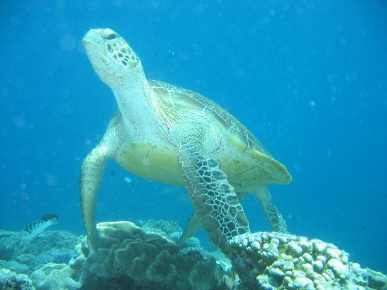 波长礁-道格拉斯港必去景点