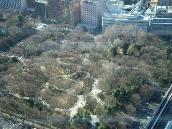 新宿中央公园景点图片