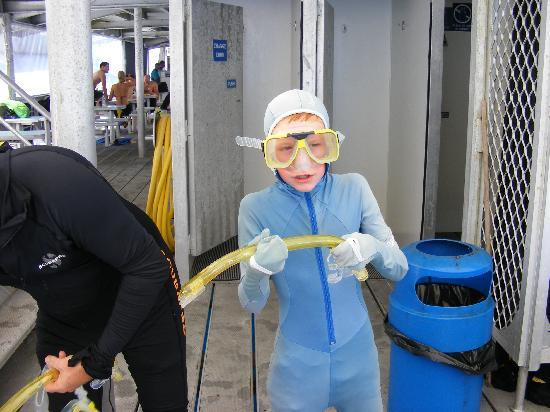 Quicksilver Cruises-道格拉斯港必去景点