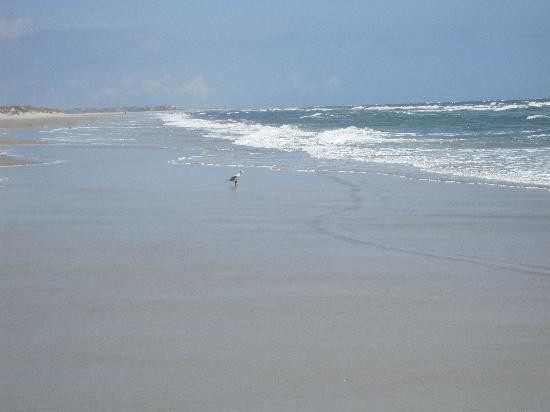 Hammocks Beach State Park景点图片