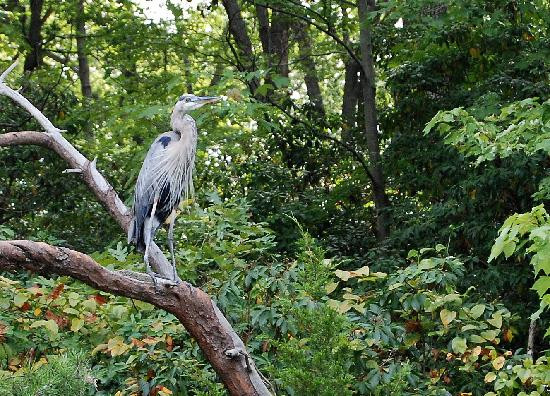 Quiet Waters Park-安纳波利斯必去景点