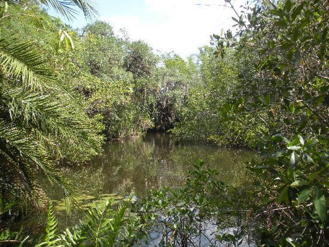 Koreshan State Park-埃斯特罗必去景点