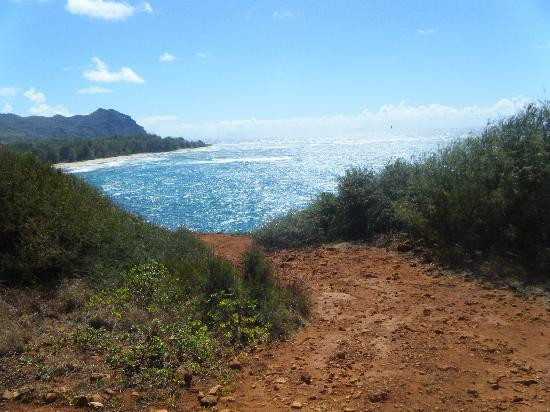 CJM Country Stables-可洛亚必去景点