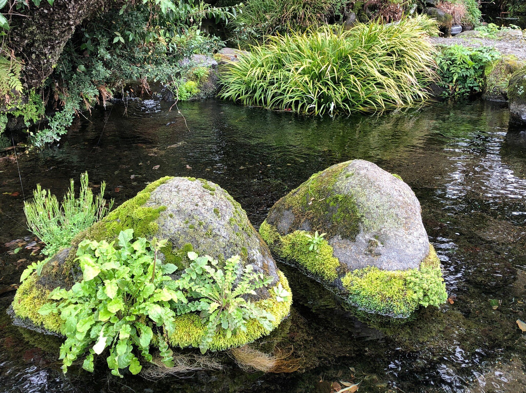 Ikenokawa Suigen景点图片