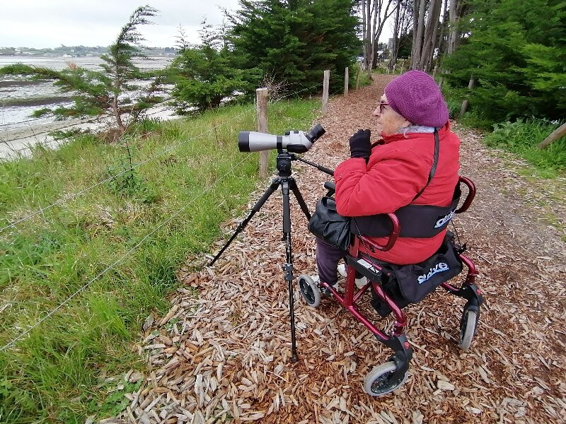 Roscoff Birding Nature景点图片