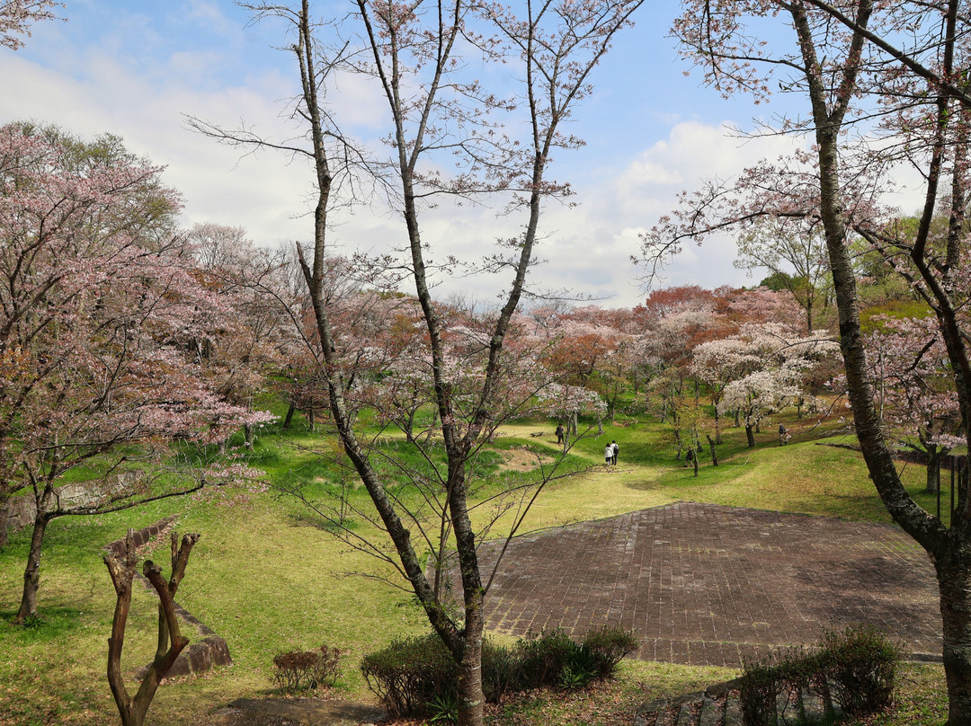 Isobe Sakuragawa Park-樱川市必去景点