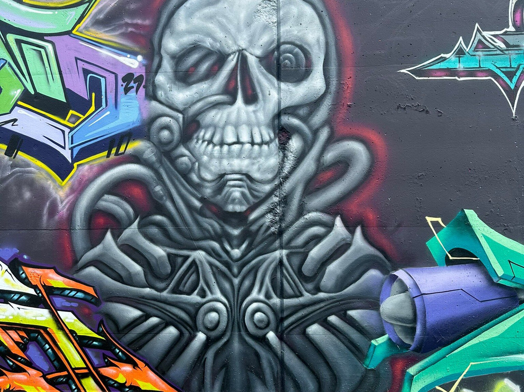 St. Louis Graffiti Wall景点图片