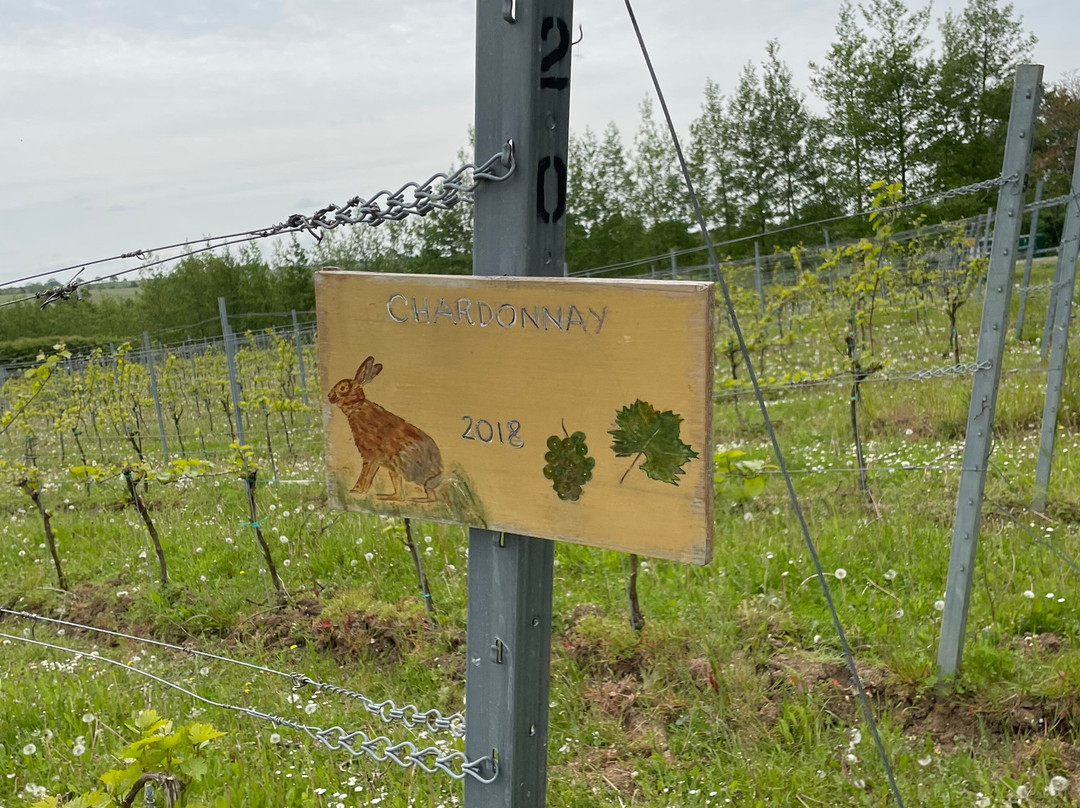 Saffron Grange Vineyard景点图片