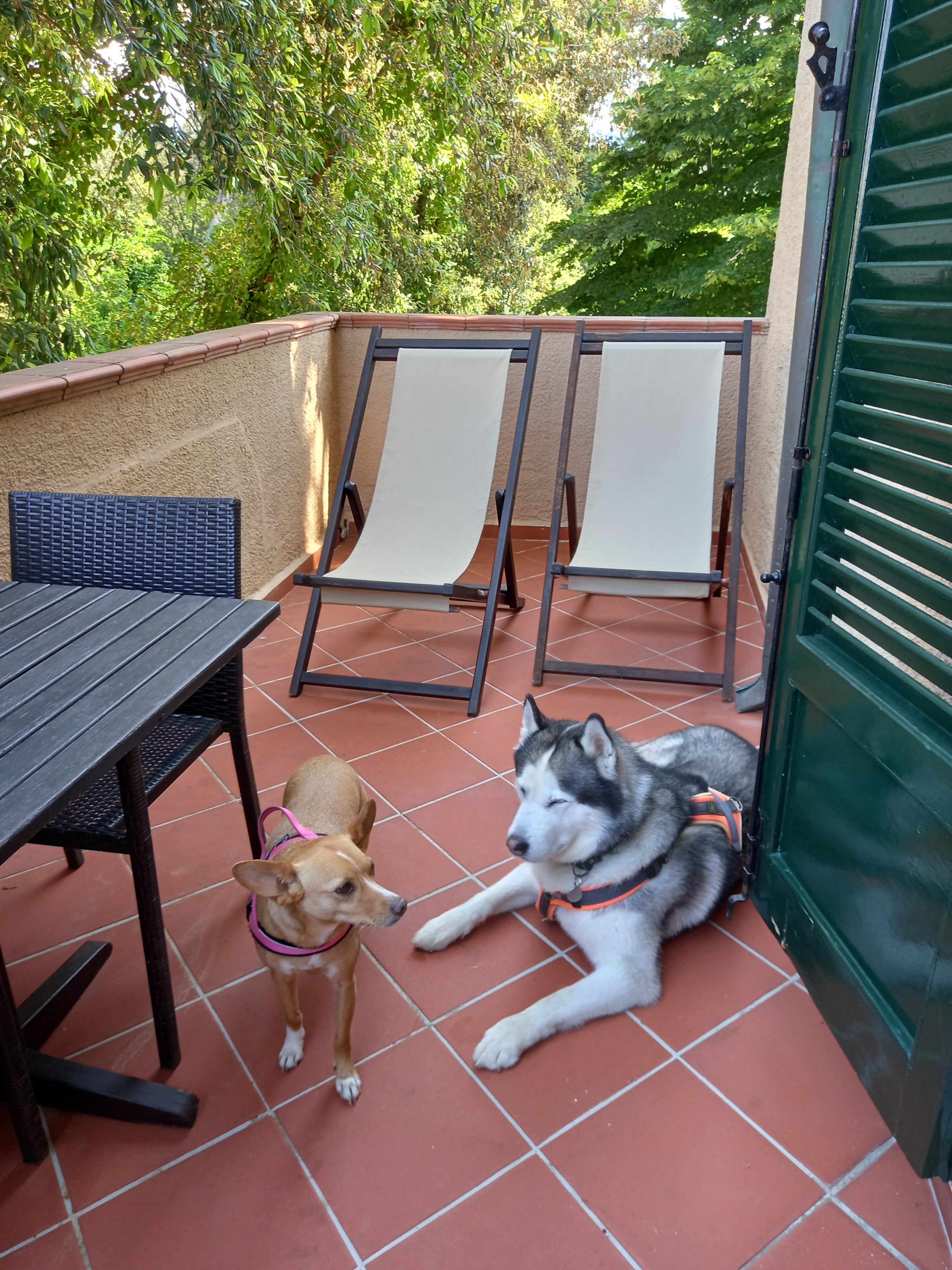 Hotel Villa Maremonti-客卧