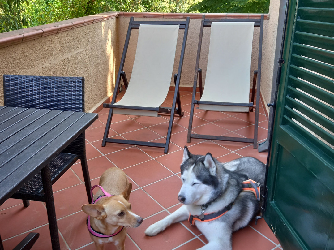 Hotel Villa Maremonti主图