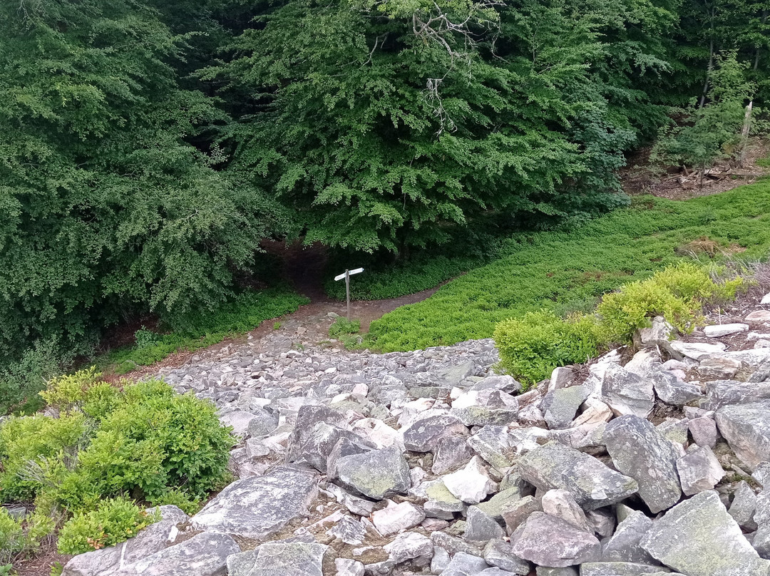 Hunnenring der keltische Ringwall-Nonnweiler必去景点