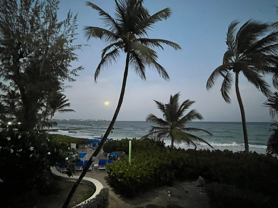 Turtle Beach by Elegant Hotels - All-Inclusive