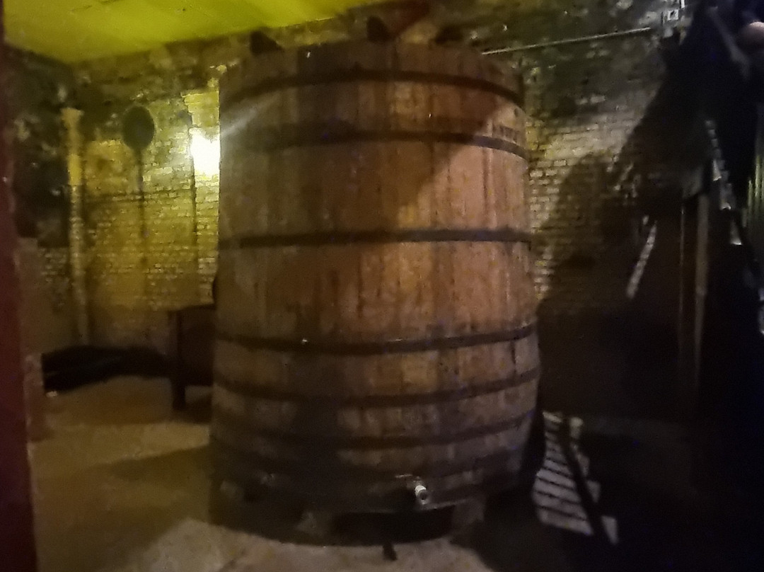 Vinicola Ferracini-Penapolis必去景点