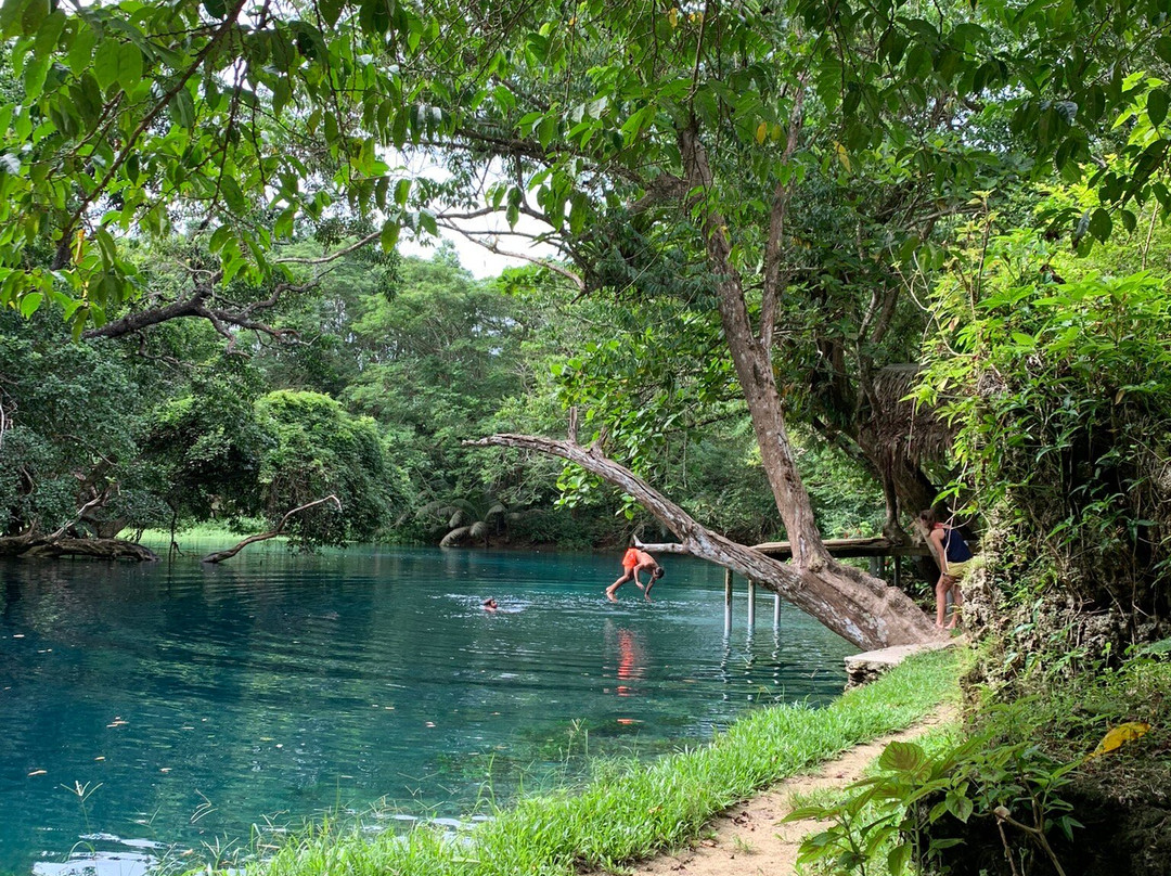 Matevulu Blue Hole-埃斯皮里图桑托岛必去景点