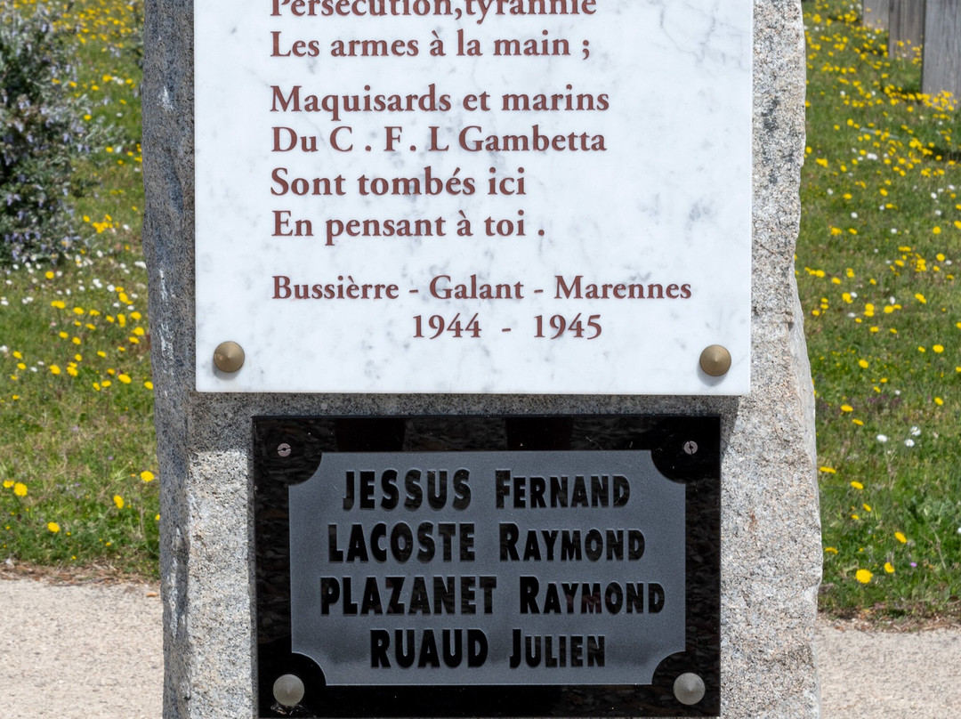 Monument aux Morts de la Résistance景点图片