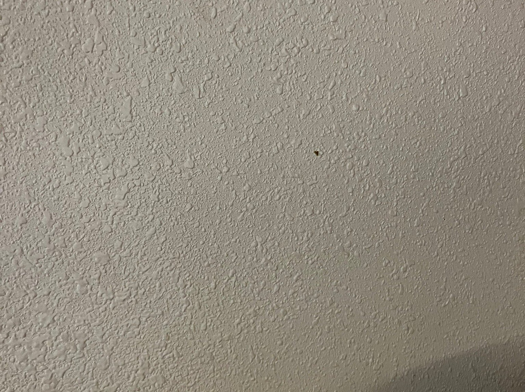 Quality Inn Bridgeport-Clarksburg主图