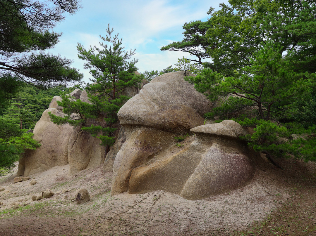Jodomatsu Park-郡山市必去景点