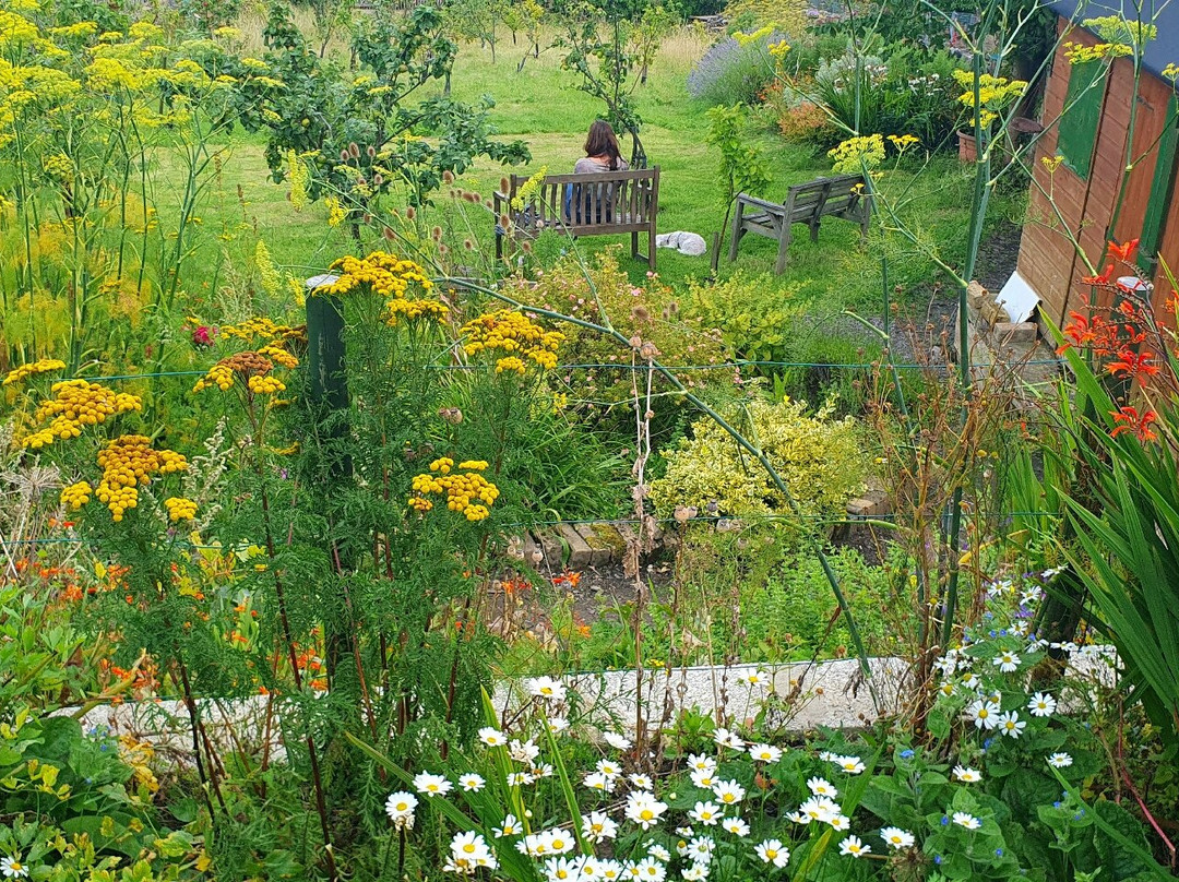 Inverkeithing Community Gardens景点图片