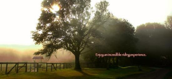 Deep Creek Stables-Pierson必去景点